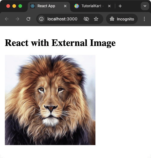 React Example for Adding an External Image